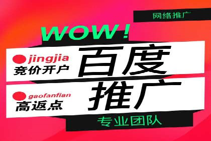 竞价推广与SEM托管双剑合璧——一则营销案例解析